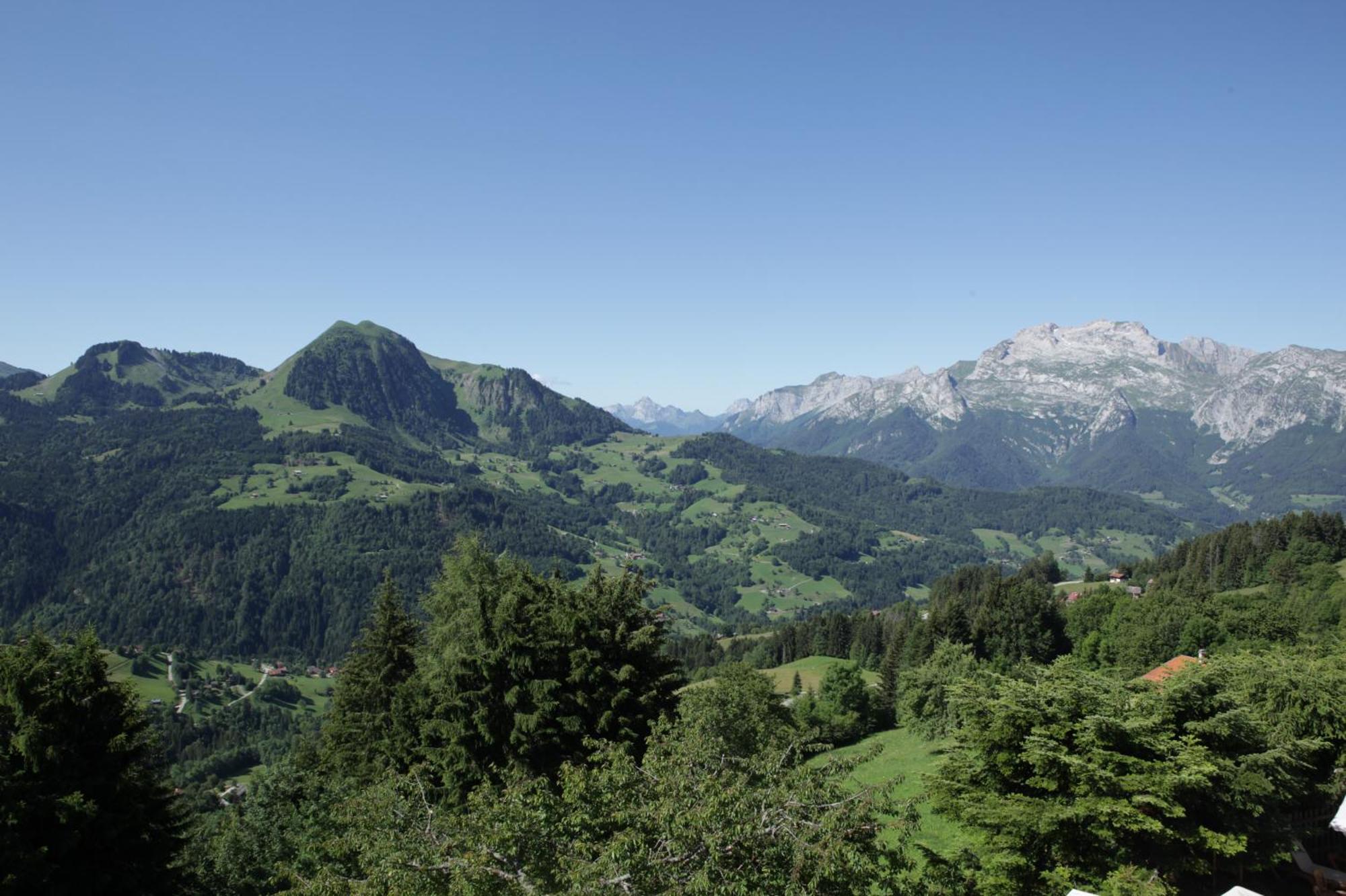 Les Chalets-Hotel De La Croix-Fry มานิโกด ห้อง รูปภาพ